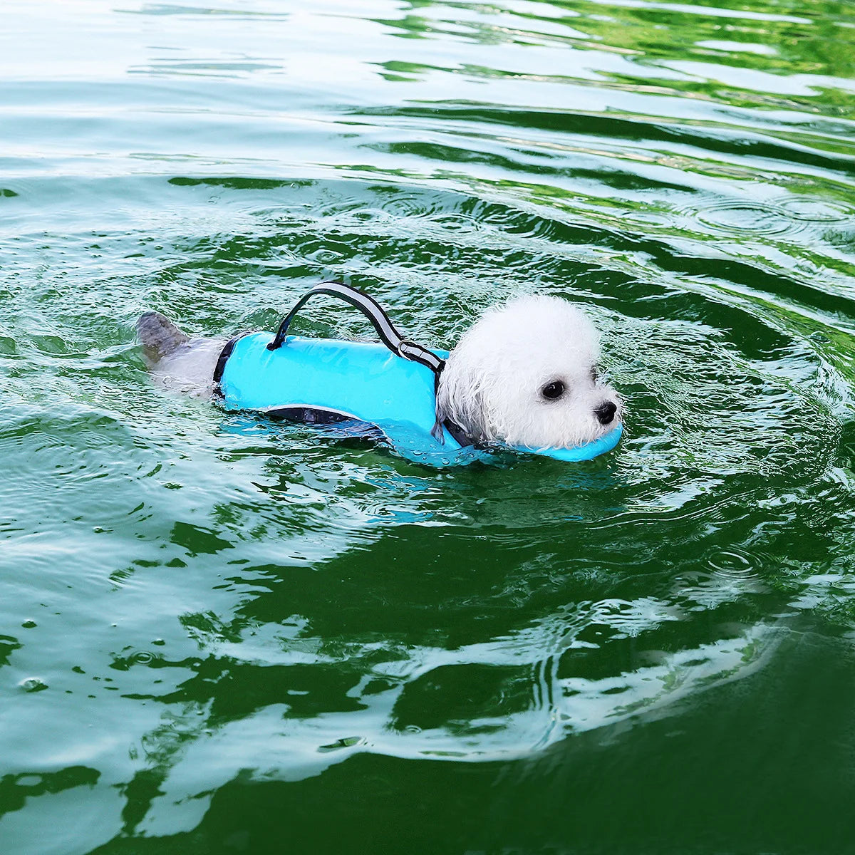 Pet Dog Hand-Held Life Jacket Towing Swimming Suit for Small Medium and Large Dogs to Play in Water and Cool down in Summer